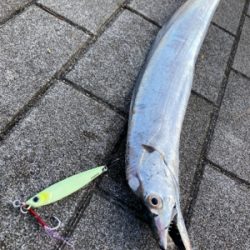 青い牙狙い続けるも。銀色のみ。。。