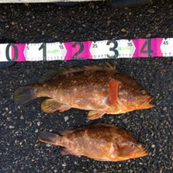 コンパクトカヤックフィッシング