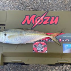 寒さで準備をサボったせいで