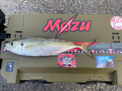 寒さで準備をサボったせいで