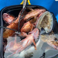 関門一つテンヤ