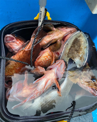 関門一つテンヤ