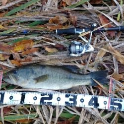 610DGS アーロンマーティンスリミテッド