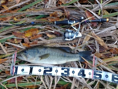 610DGS アーロンマーティンスリミテッ…