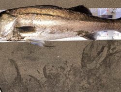 人生2度目の90アップ！