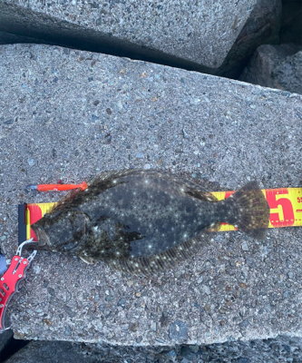 ヒラメ1枚、ゴミ大量