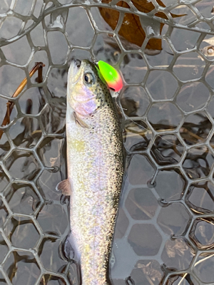 黒保根渓流フィシング