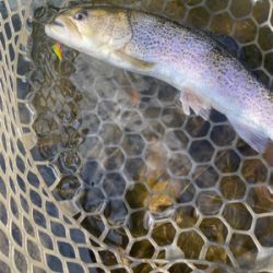 フィシングエリアほのぼの