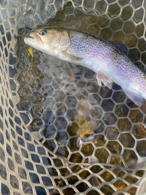 フィシングエリアほのぼの