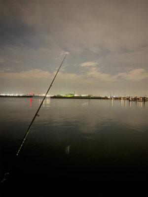 大阪湾奥アジング