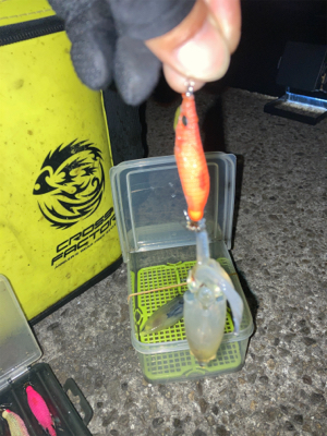 爆風の中ヒイカ釣りσ(^_^;)