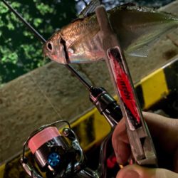 船の近くで釣る時