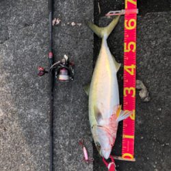 ボイル打ち⁉️