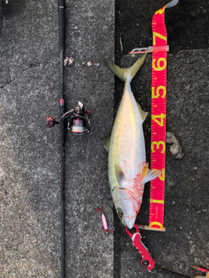 ボイル打ち⁉️