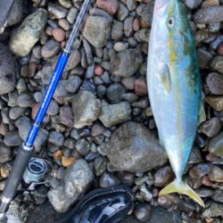 ショアジギング