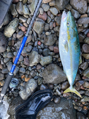 ショアジギング