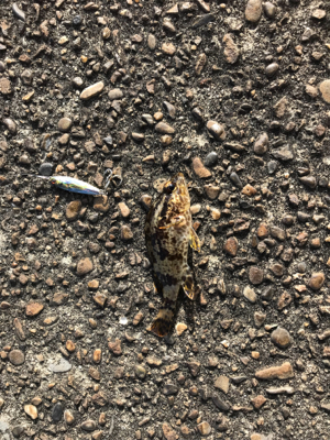 デイメバリング