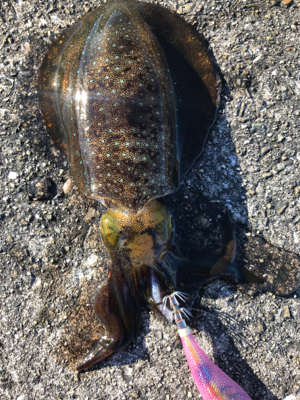 爆風！ランガン！連チャン！