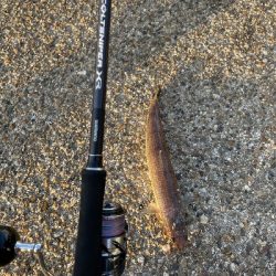 ショアジギング朝練！