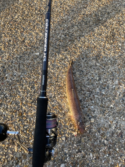 ショアジギング朝練！