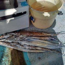 小さいものから大きいものまで