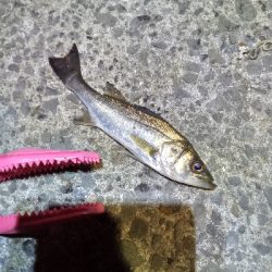 リベンジライトゲーム