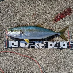 ショアジギング