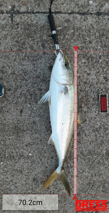 青物自己新記録