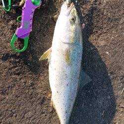 久しぶりの場所で・・・