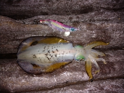 まさかまさかの！