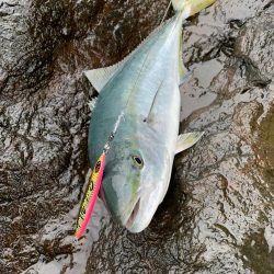 ショアジギング ブリ 北海道 アトラス100g 北海道 ショアジギング ブリ 陸っぱり 釣り 魚釣り 釣果情報サイト カンパリ