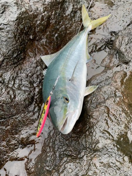 ショアジギング　ブリ　北海道　アトラス10…