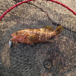 キャンプ帰りの