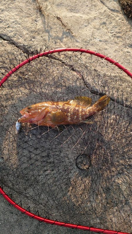 キャンプ帰りの