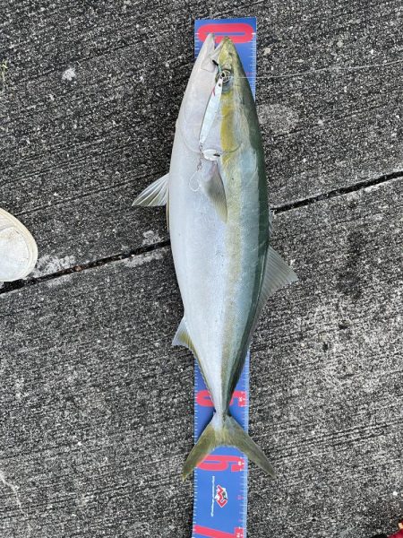 ショアジギング