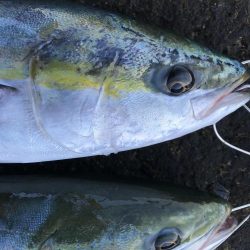 大荒れパターン