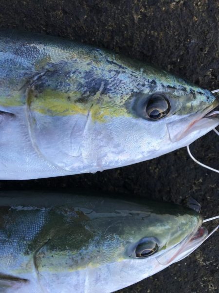 大荒れパターン