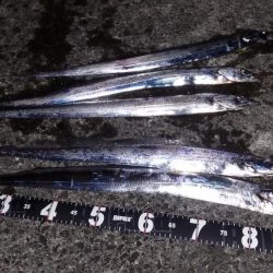 ムコイチ夕方編