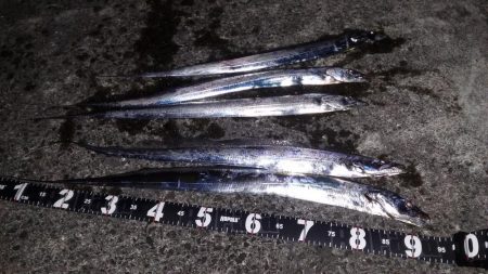 ムコイチ夕方編