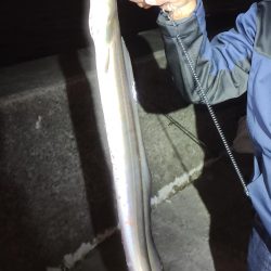 青物を狙ったつもりが・・・