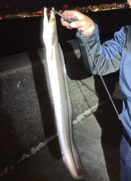 青物を狙ったつもりが・・・