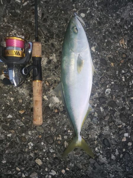 マッチtheベイト！