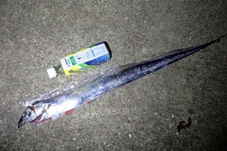 1回のアタリを仕留めた！