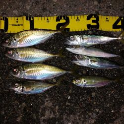 プチファミリーフィッシング　GAME