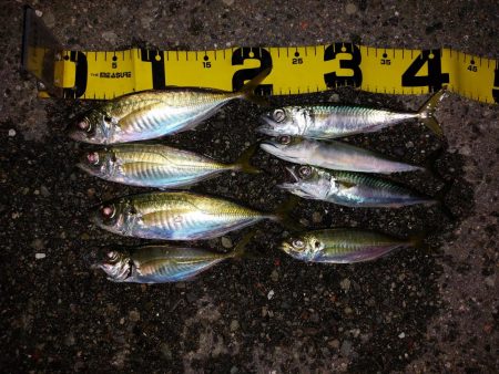 プチファミリーフィッシング　GAME