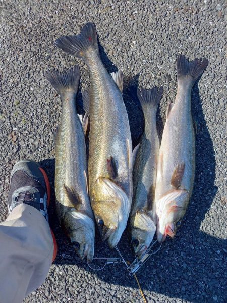 最後の秋爆かも