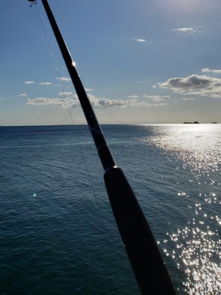 何とか１つでした。カタクチイワシはいます。