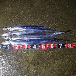 あと4cmあれば・・・