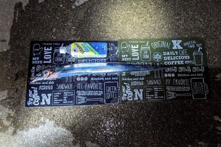 坊主覚悟から5匹