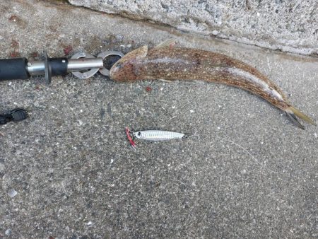 プチsalt water game